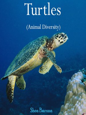 cover image of Turtles